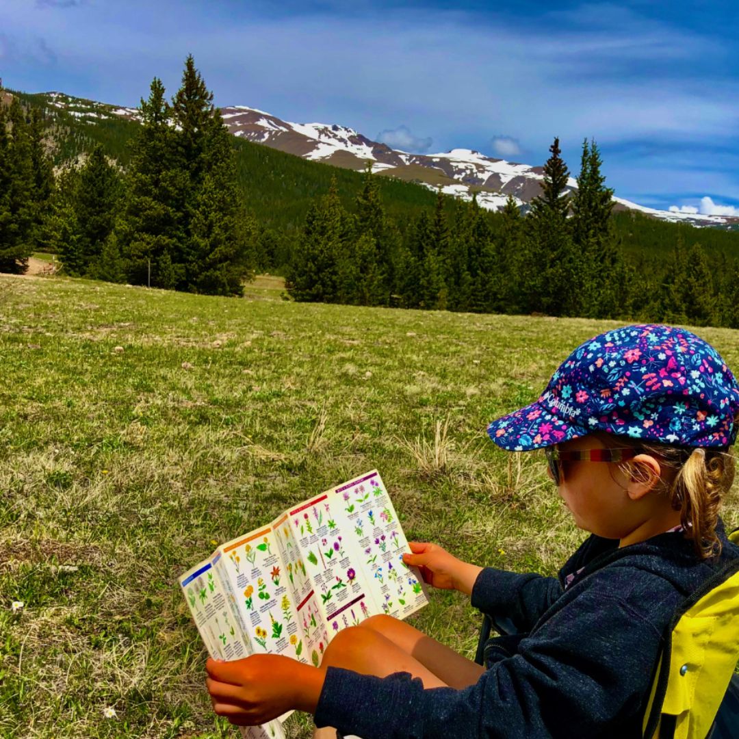 Little girl reading flower identification with mountains in background 